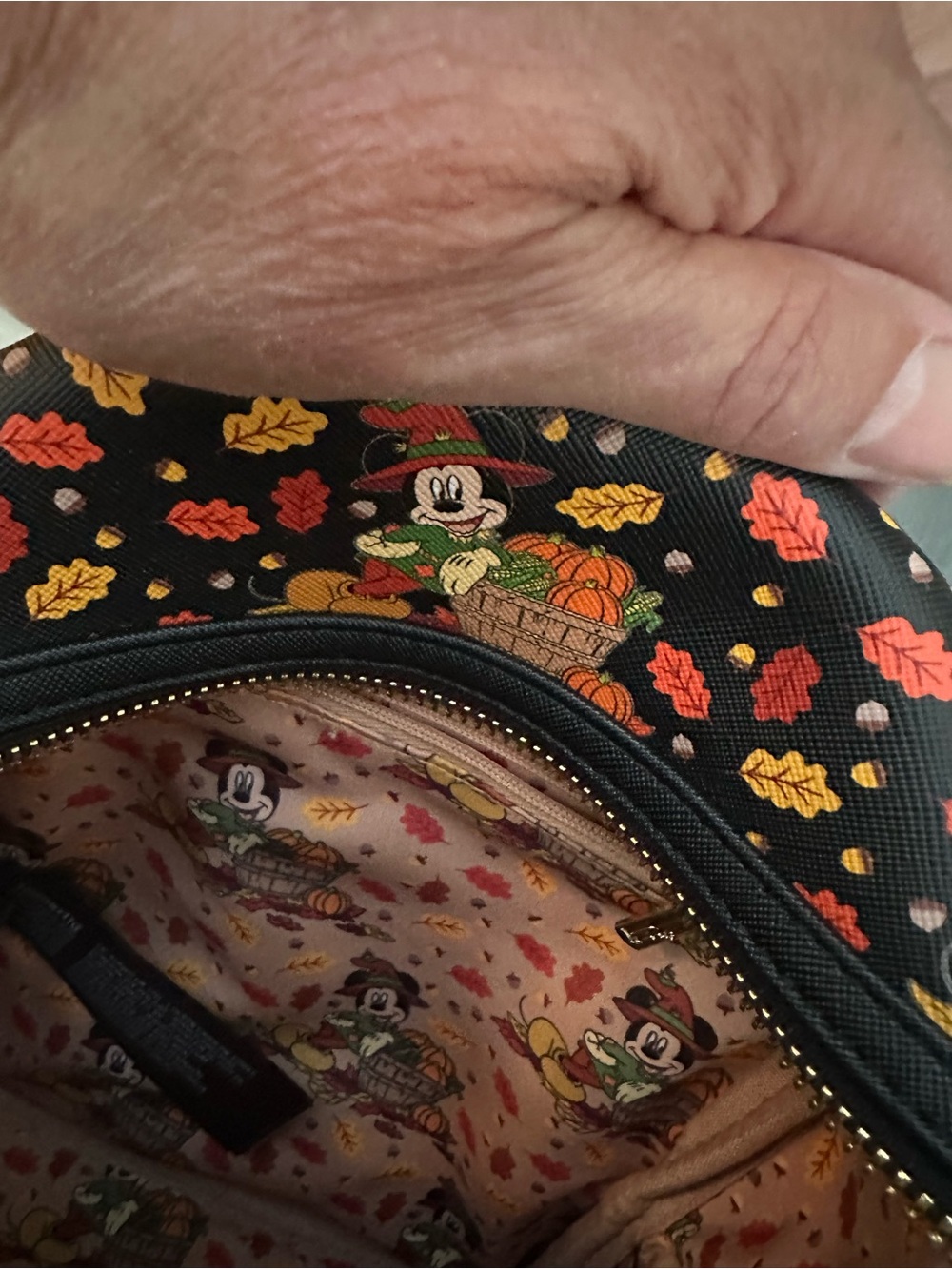 Disney x Loungefly Mickey Pumpkin Harvest Mini Backpack - Black with Fall Print - Picture 5 of 7